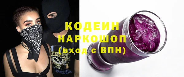 стаф Новозыбков