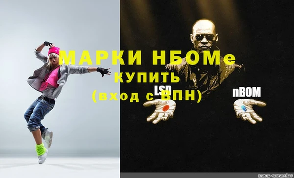 стаф Новозыбков