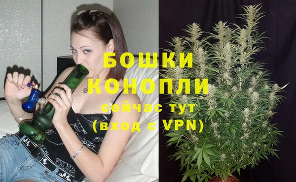 гидра Новокубанск