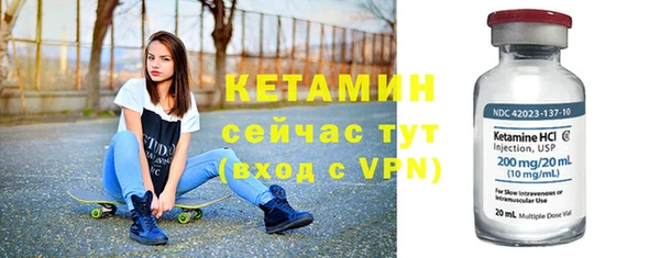индика Новодвинск
