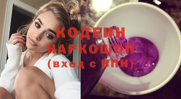 индика Новодвинск