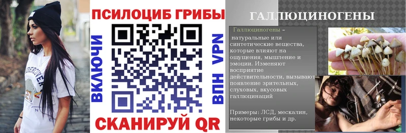 Псилоцибиновые грибы прущие грибы  Александров 