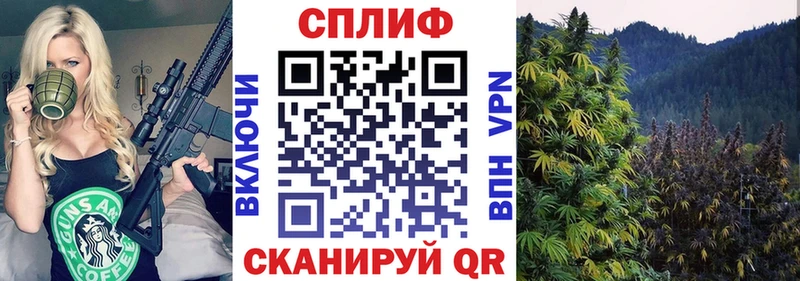 Конопля AK-47 Александров